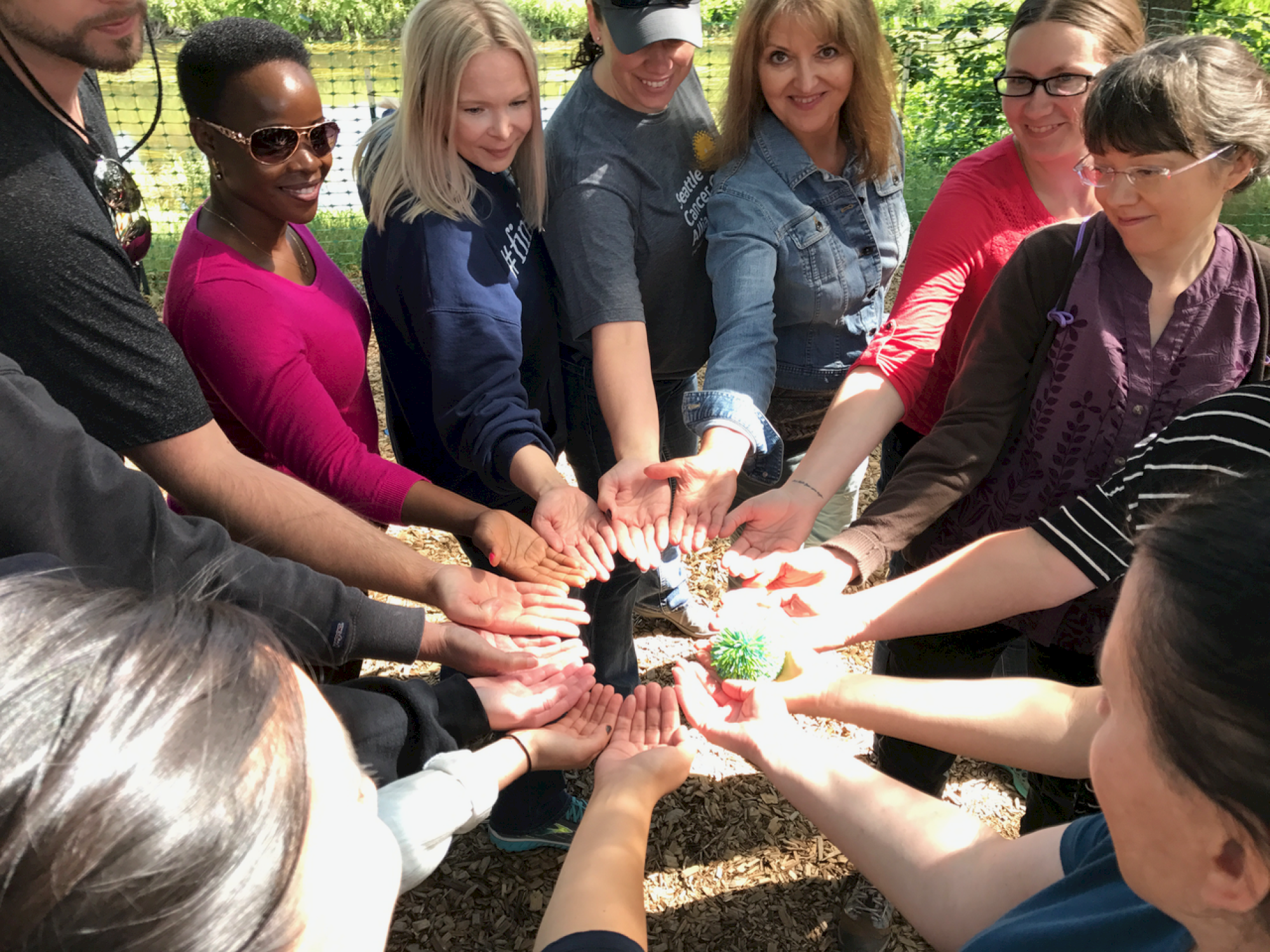 A group of people stands in a circle extending their hands towards the center, forming a gesture of unity, outdoors in a sunny environment.