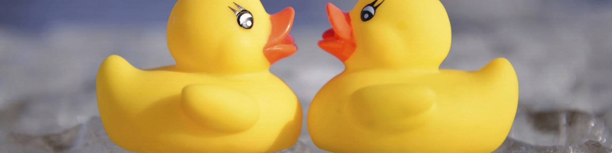 Two yellow rubber ducks are positioned facing each other on a surface covered with droplets of water, appearing to interact.