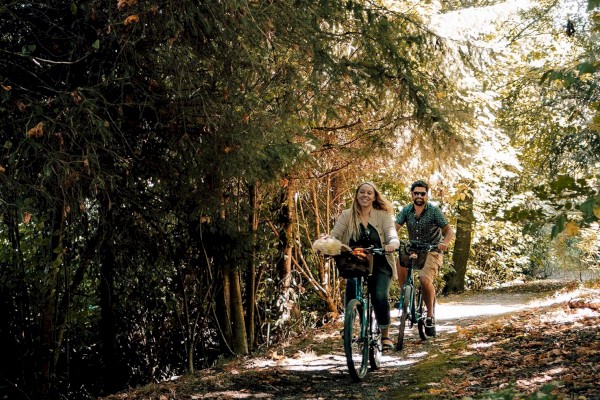 Two people are riding bicycles on a forested path surrounded by trees and greenery, with sunlight filtering through the leaves.