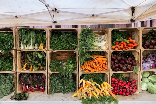 A market stand displaying various fresh vegetables, including leafy greens, carrots, radishes, cabbage, and beets, organized in wooden crates.