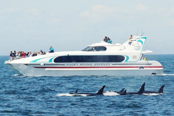 A boat with the label 