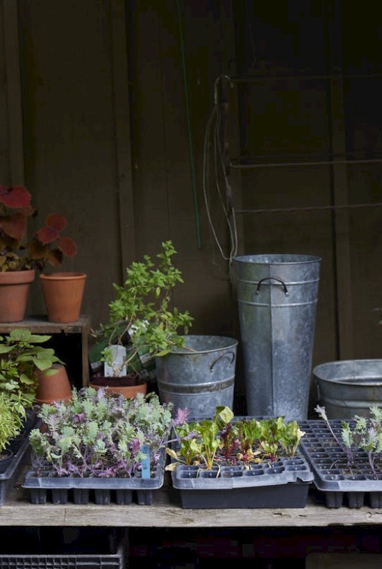 A gardening workstation with seedling trays, potted plants, watering cans, and bamboo sticks arranged on and around a wooden table.