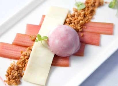 A gourmet dessert plated with precision, featuring a pink sorbet, a white chocolate piece, rhubarb slices, a crumbled topping, and garnished with herbs.