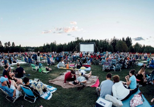 Outdoor Movies at Marymoor Park