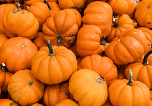 The image shows a large pile of small orange pumpkins, with slender green stems visible on some of them, forming a bright, festive display.