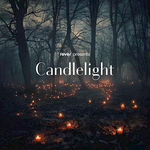 The image shows a foggy forest with numerous candles lit on the ground, accompanied by the text 