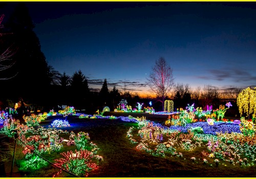 The image shows a luminous outdoor display with various light installations in a garden setting against a darkening sky.