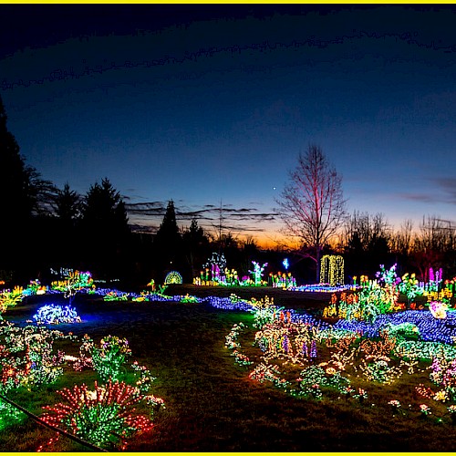 The image shows a luminous outdoor display with various light installations in a garden setting against a darkening sky.