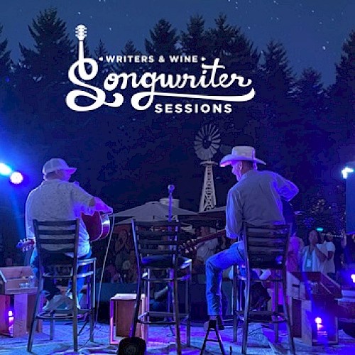 Two musicians perform on stage under a night sky at a 